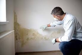 Cedar Rapids, IA Mold Removal Services Company